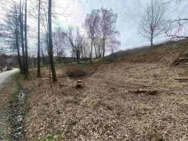 Prodej pozemku, Horní Stropnice - Šejby, 704 m2