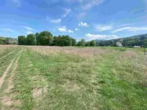 Dražba louky, Všenory, 782 m2