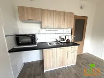 Pronájem bytu 1+kk, Plzeň, Dlouhá, 20 m2