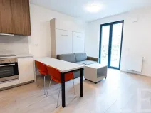 Pronájem bytu 1+kk, Praha - Žižkov, Hartigova, 32 m2