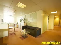 Pronájem kanceláře, Brno, Příkop, 20 m2