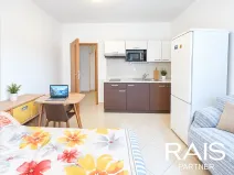Prodej bytu 1+kk, Brno, Vranovská, 30 m2