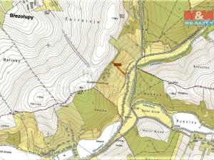 Prodej trvalého travního porostu, Březolupy, 1586 m2