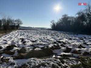 Prodej zahrady, Cizkrajov - Holešice, 1159 m2