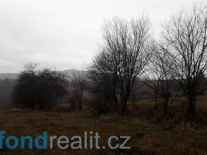 Prodej zemědělské půdy, Teplice nad Metují, 29954 m2