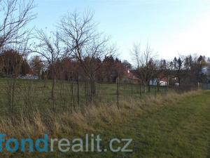 Prodej pozemku, Loučka, 7350 m2
