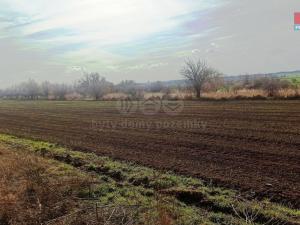 Prodej zemědělské půdy, Pasohlávky, 5910 m2