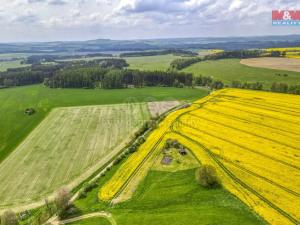 Prodej zemědělské půdy, Ostrov u Bezdružic - Pláň, 6672 m2