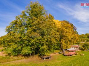 Prodej pozemku pro bydlení, Kynšperk nad Ohří, 1161 m2