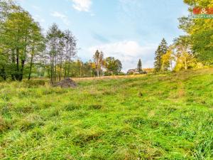 Prodej pozemku pro bydlení, Stará Voda, 553 m2