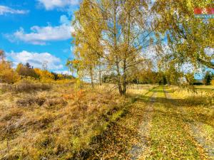 Prodej zahrady, Krsy, 649 m2