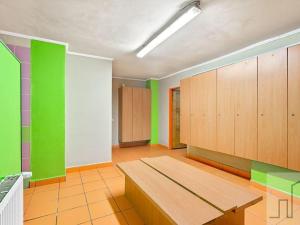Prodej komerční nemovitosti, Karlovy Vary, Truhlářská, 480 m2