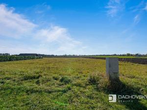 Prodej pozemku pro bydlení, Staré Hradiště, 1310 m2