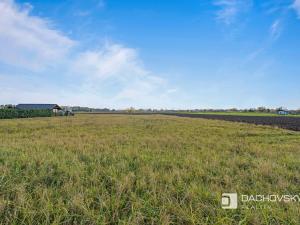 Prodej pozemku pro bydlení, Staré Hradiště, 1310 m2