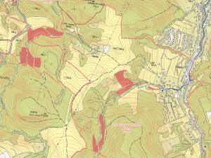 Prodej trvalého travního porostu, Velké Březno, 40496 m2