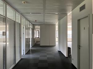 Pronájem kanceláře, Brno, Holandská, 872 m2