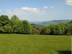 Prodej pozemku pro bydlení, Stráž nad Ohří, 1067 m2