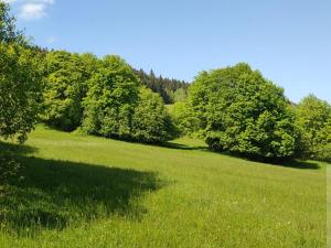 Prodej pozemku pro bydlení, Stráž nad Ohří, 1067 m2