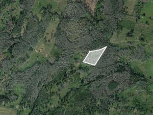 Prodej lesa, Třebíč, 4474 m2
