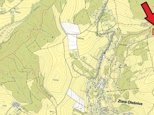 Prodej podílu lesa, Zlatá Olešnice, 242 m2