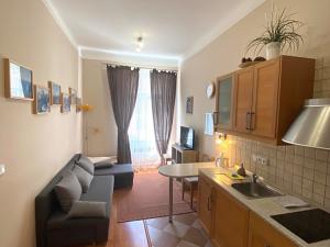 Prodej bytu 2+kk, Karlovy Vary, Zámecký vrch, 31 m2