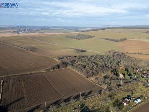 Prodej zemědělské půdy, Biskupice-Pulkov, 15670 m2