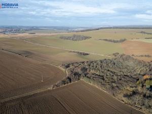 Prodej zemědělské půdy, Biskupice-Pulkov, 15670 m2