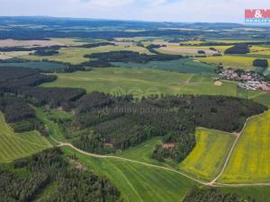 Prodej zemědělské půdy, Ostrov u Bezdružic, 49419 m2