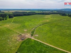 Prodej zemědělské půdy, Ostrov u Bezdružic, 49419 m2