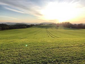 Prodej pozemku pro bydlení, Pyšely, 2698 m2