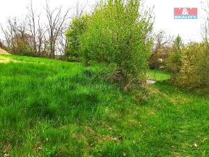 Pronájem louky, Opatovice I, 4032 m2