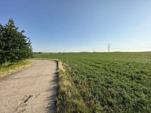 Prodej pozemku pro komerční výstavbu, Praha - Třeboradice, Za tratí, 29191 m2