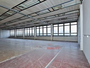 Pronájem výrobních prostor, Znojmo, Průmyslová, 900 m2