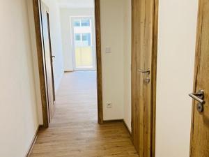 Pronájem bytu 1+kk, Olomouc, Frištenského, 32 m2