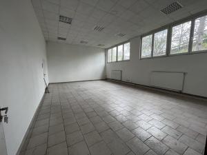 Pronájem výrobních prostor, Cheb, Karlova, 1400 m2