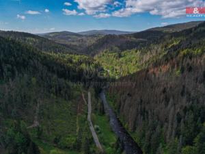 Prodej pozemku pro bydlení, Rejštejn, 4185 m2