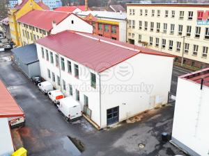 Pronájem komerční nemovitosti, Cheb, Pekařská, 720 m2