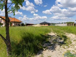 Prodej domu na klíč, Skuteč, 1165 m2