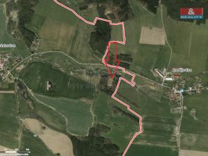 Prodej lesa, Kváskovice, 3555 m2