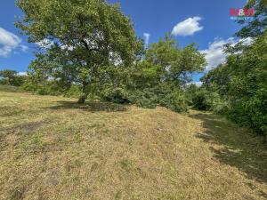 Prodej zahrady, Třebenice, 468 m2