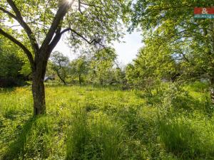 Prodej pozemku pro bydlení, Tichá, 5501 m2