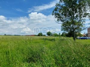 Prodej pozemku pro bydlení, Verneřice, 486 m2