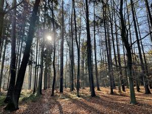 Prodej pozemku pro bydlení, Louňovice, Za Hřištěm, 1040 m2