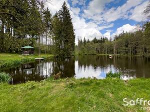 Prodej pozemku pro komerční výstavbu, Mariánské Lázně, 16545 m2