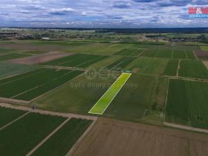 Prodej zemědělské půdy, Dřísy, 4454 m2