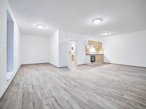 Pronájem bytu 1+kk, Plzeň, Železniční, 42 m2