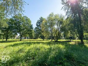 Pronájem pozemku pro komerční výstavbu, Jeníkov, 13072 m2