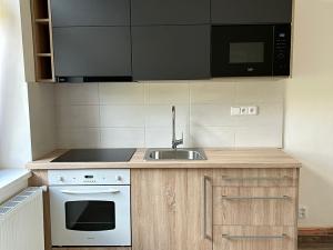 Pronájem bytu 2+kk, Děčín, Kamenická, 51 m2