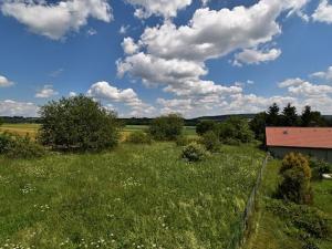 Prodej chalupy, Třemošnice, 110 m2