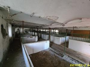 Prodej zemědělské usedlosti, Štoky, 1600 m2